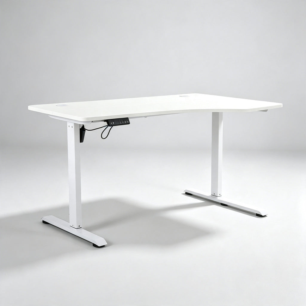 NoxRoc 50 X 24 Inch Electric Standing Gaming Desk, Smooth Height Adjustment 28"-46", 4 Memory Presets, One-Touch Control, Stable Steel Frame, Easy Assembly
