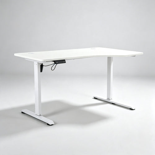 NoxRoc 50 X 24 Inch Electric Standing Gaming Desk, Smooth Height Adjustment 28"-46", 4 Memory Presets, One-Touch Control, Stable Steel Frame, Easy Assembly