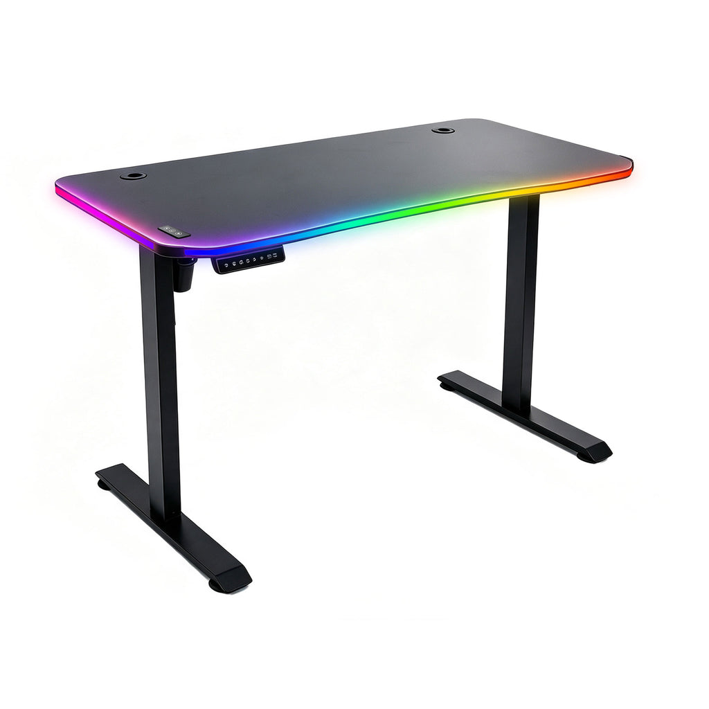 NoxRoc 50 X 24 Inch Electric Standing Gaming Desk, RGB LED Lights, Smooth Height Adjustment 28"-46", 4 Memory Presets, One-Touch Control, Stable Steel Frame, Easy Assembly