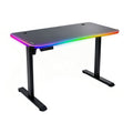 NoxRoc 50 X 24 Inch Electric Standing Gaming Desk, RGB LED Lights, Smooth Height Adjustment 28"-46", 4 Memory Presets, One-Touch Control, Stable Steel Frame, Easy Assembly