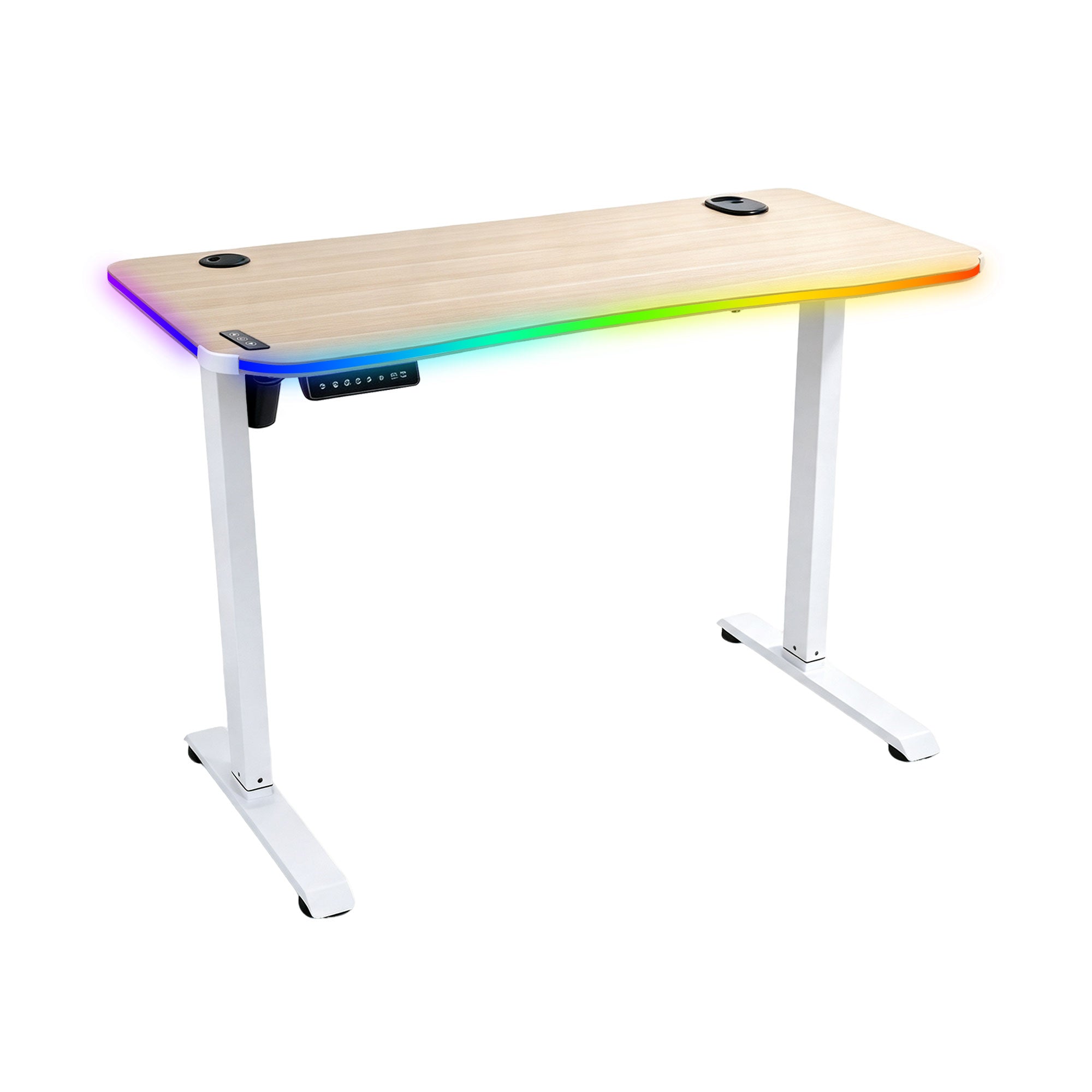 NoxRoc 50 X 24 Inch Electric Standing Gaming Desk, RGB LED Lights, Smooth Height Adjustment 28"-46", 4 Memory Presets, One-Touch Control, Stable Steel Frame, Easy Assembly