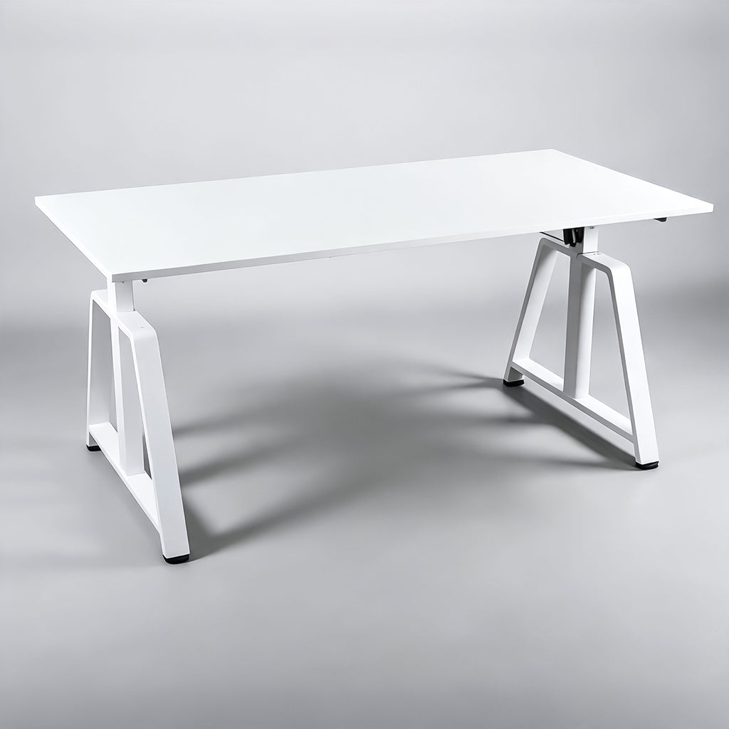 NoxRoc 50 X 24 Inch Electric Standing Gaming Desk, Smooth Height Adjustment 28"-46", 4 Memory Presets, One-Touch Control, Stable Steel Frame, Easy Assembly