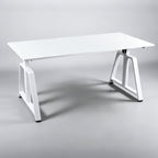 NoxRoc 50 X 24 Inch Electric Standing Gaming Desk, Smooth Height Adjustment 28"-46", 4 Memory Presets, One-Touch Control, Stable Steel Frame, Easy Assembly