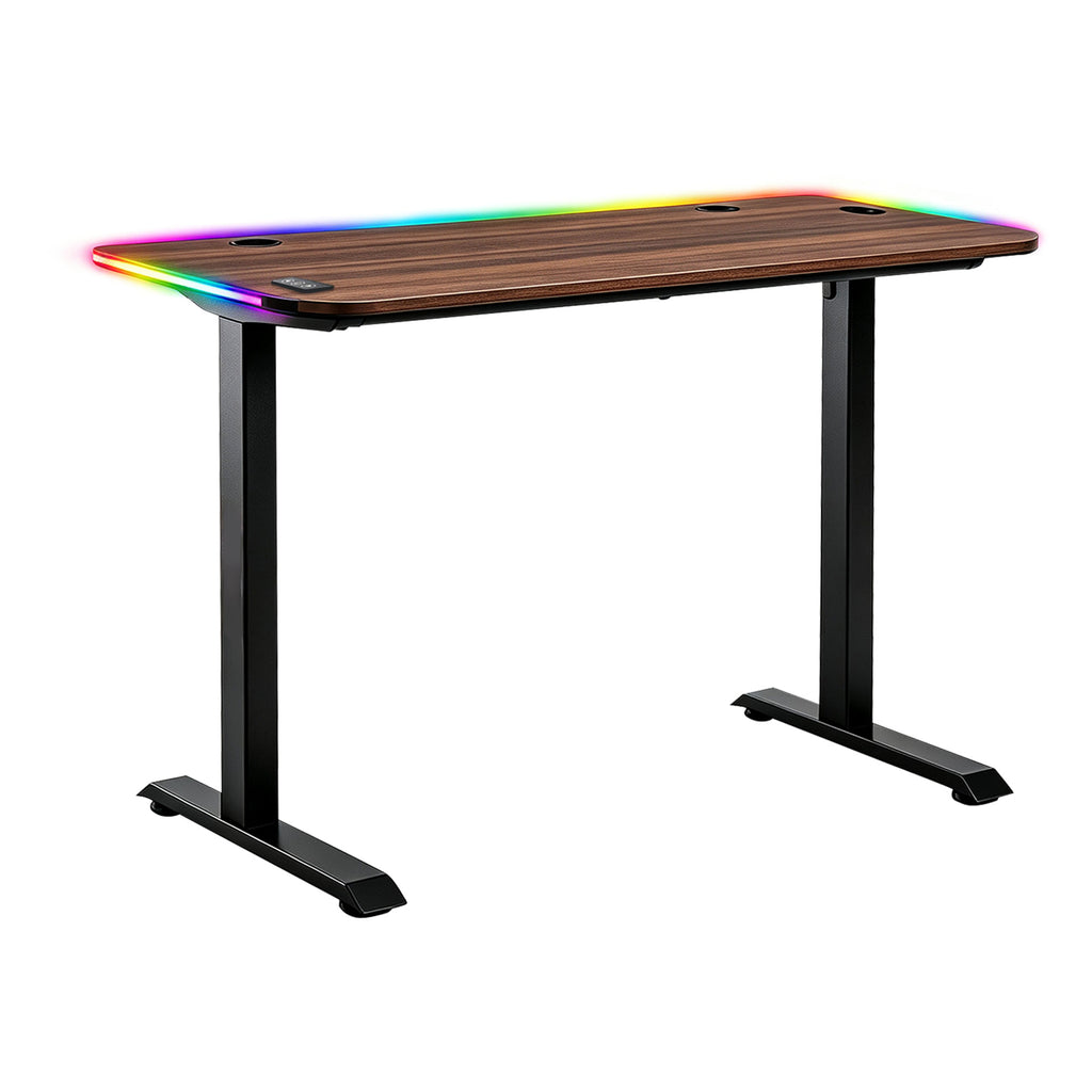 NoxRoc 50 Inch Gaming Desk with RGB LED Lights, 24"D x 50"W x 29"H, Large Computer Desk for Home Office, Stable Steel Frame, Easy Assembly